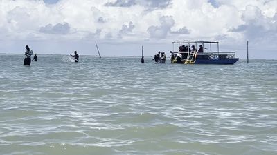 Embarque de turistas em catamarã nas águas rasas de Paripueira, com guia auxiliando passageiros
