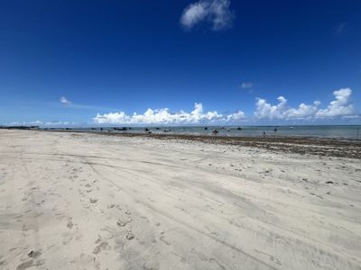 Turistas caminhando nas piscinas naturais de Paripueira durante a maré baixa com água cristalina na altura da canela